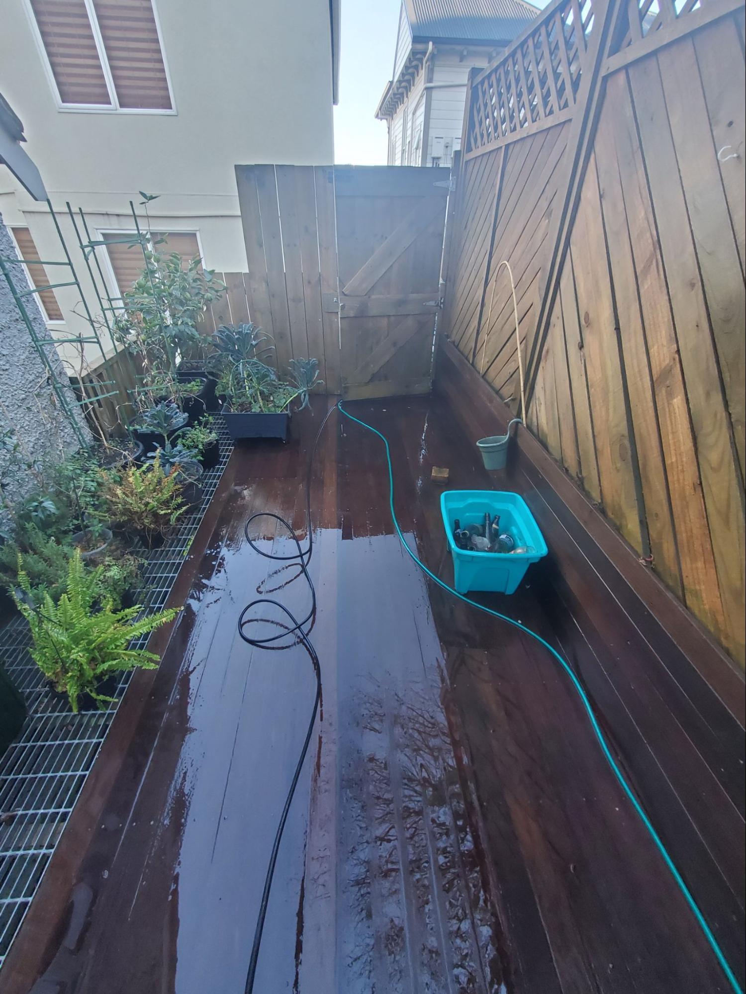 Backyard pathway after water blasting