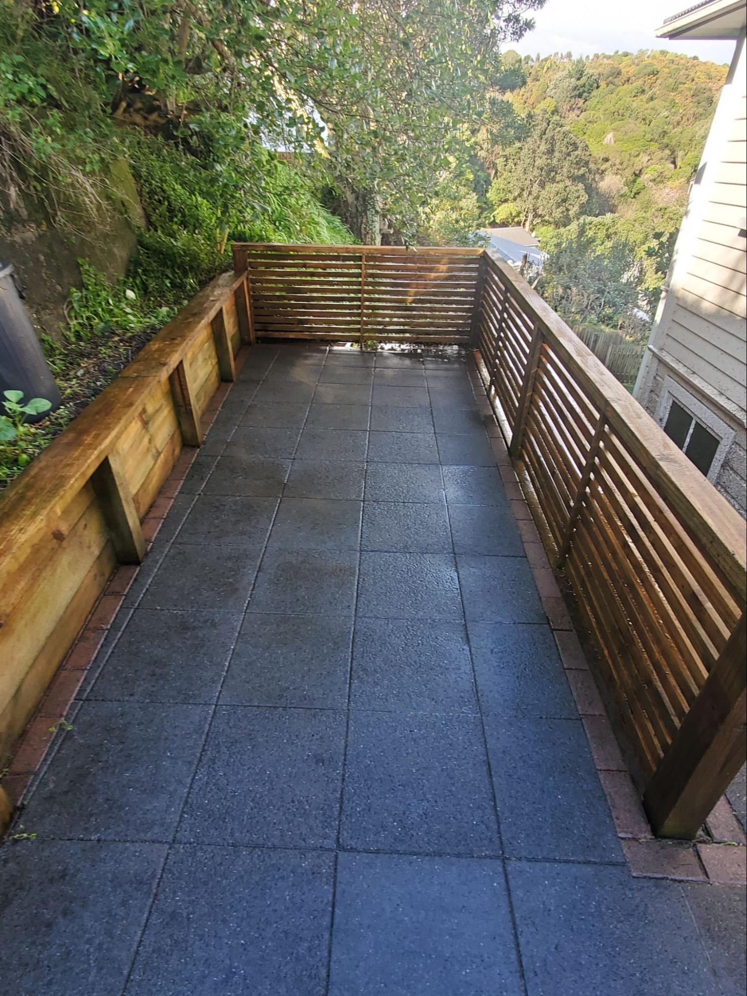Outdoor concrete path with moss before water blasting