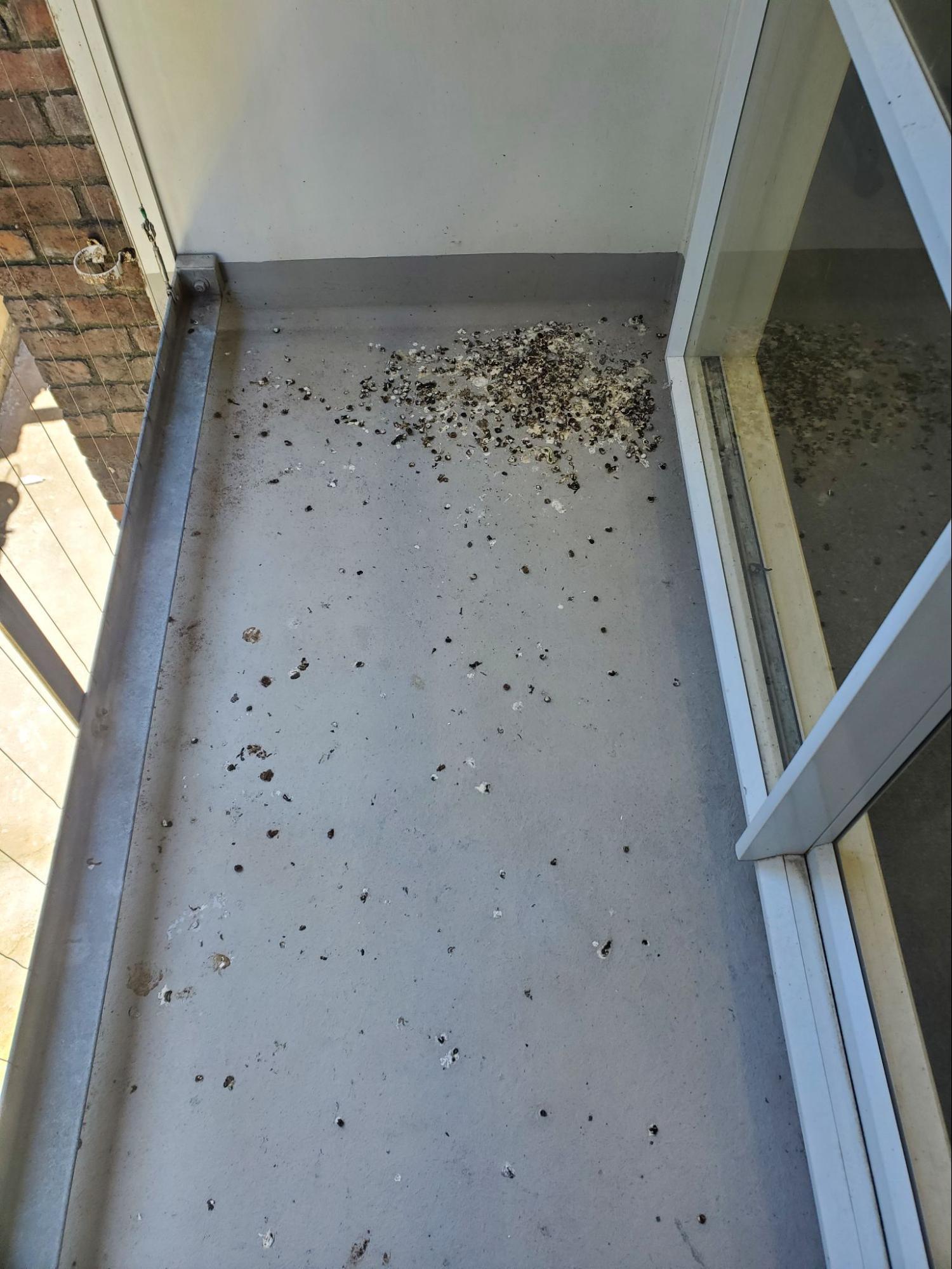Balcony with dirt before cleaning