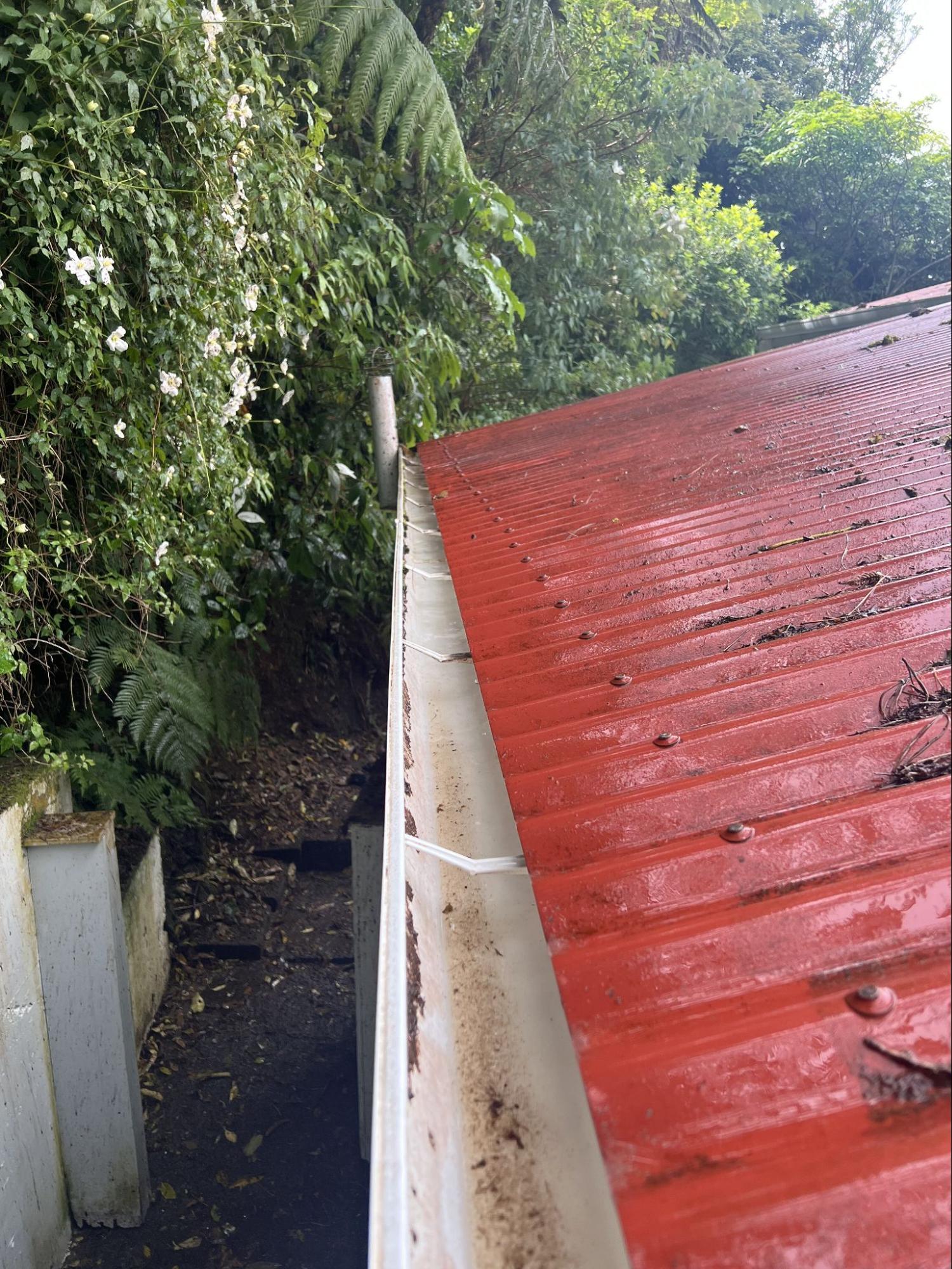Red metal roof clean after water blasting