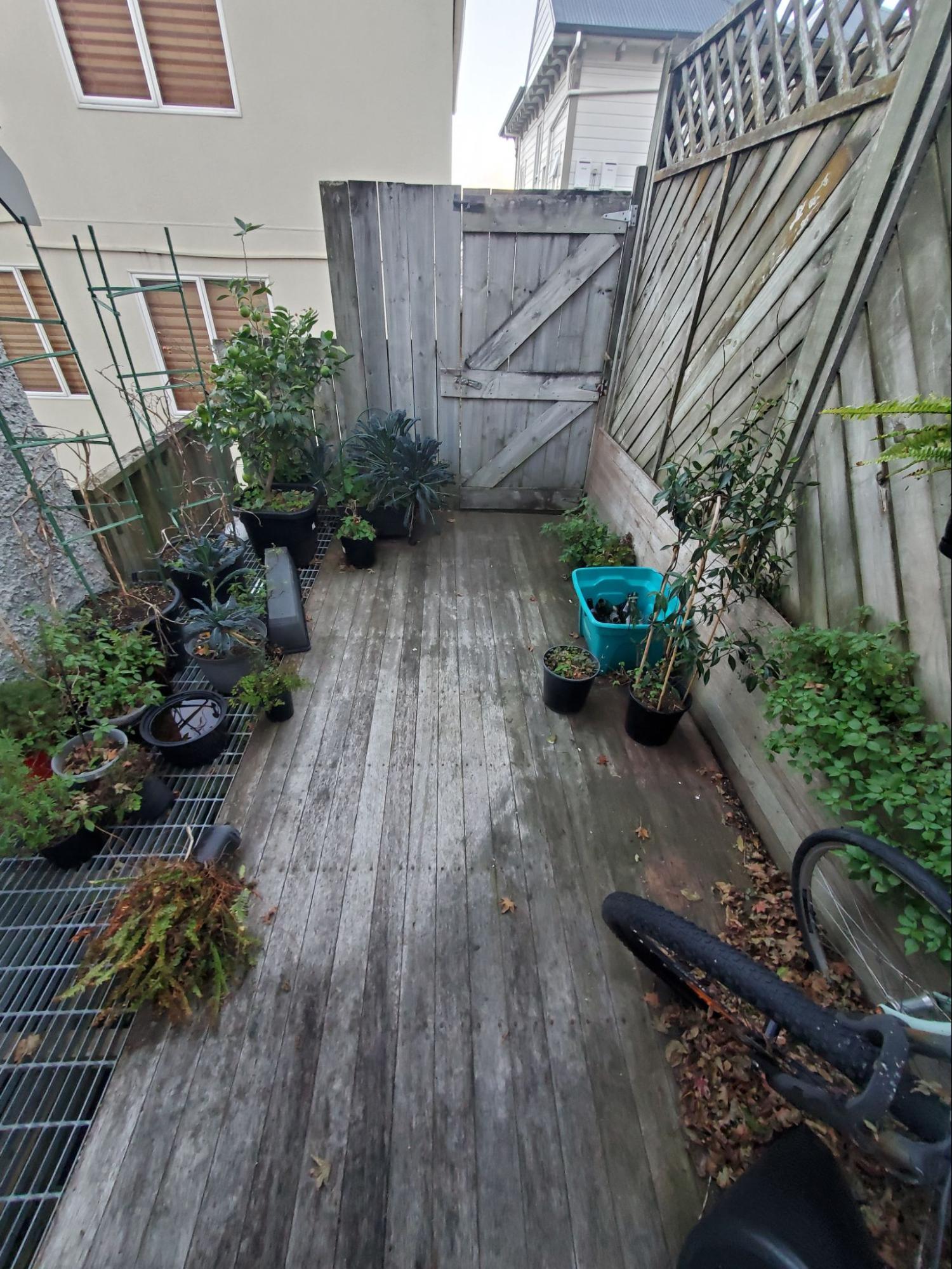 Backyard pathway before cleaning