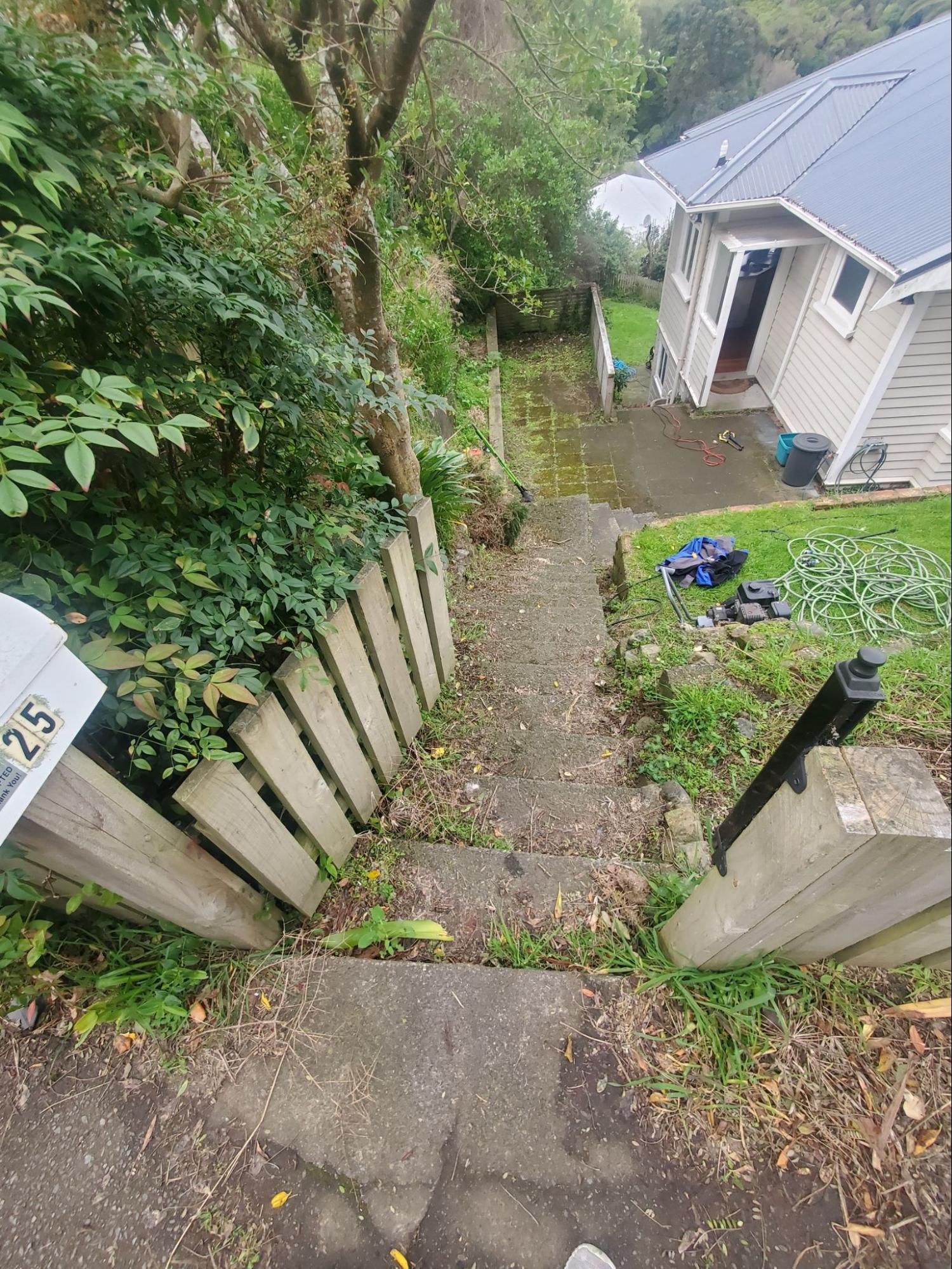 Outdoor pathway with moss before cleaning
