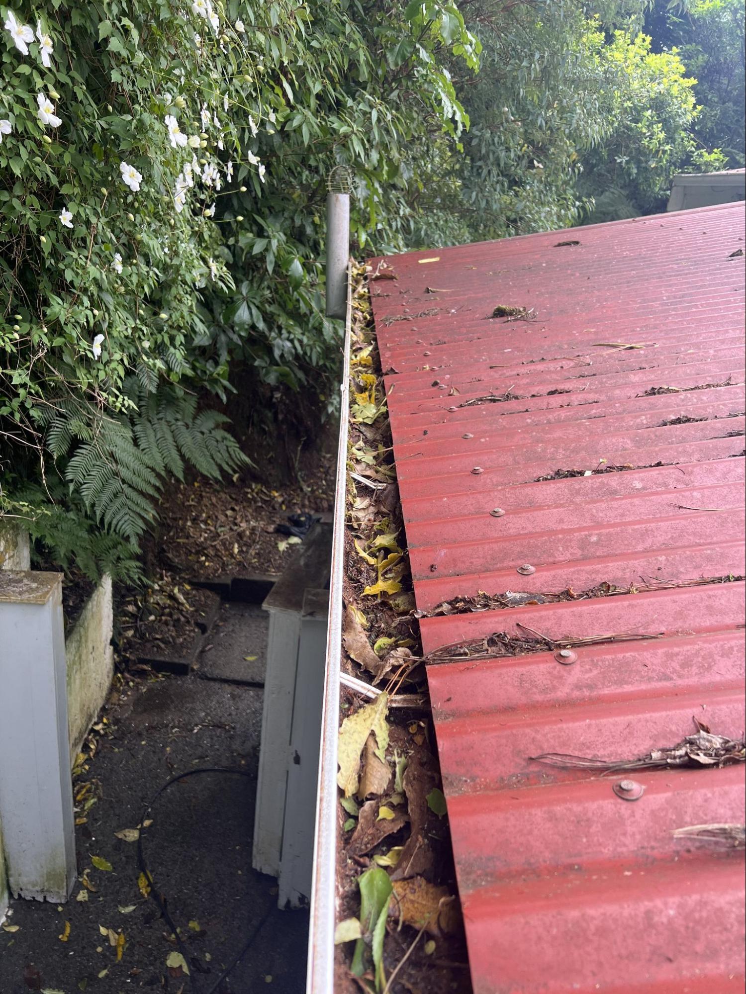 Red metal roof with gutter dirt before cleaning