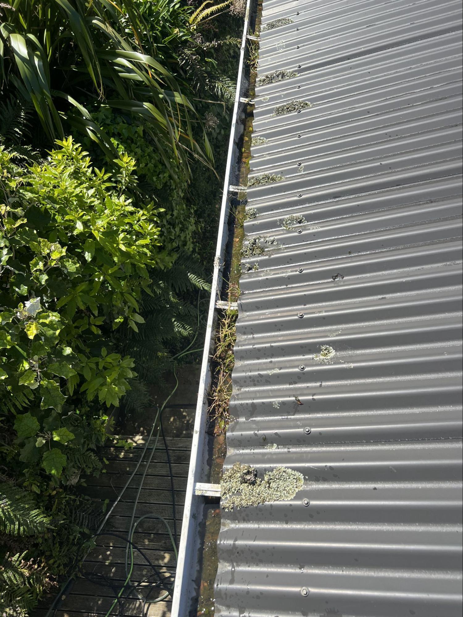 Roof gutter with moss before cleaning
